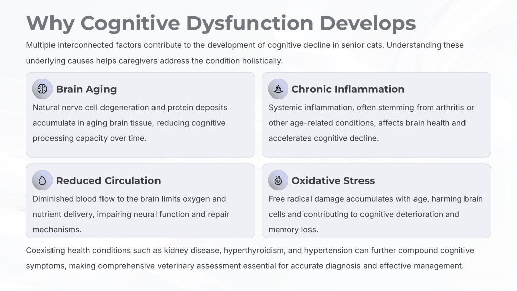 Cognitive Dysfunction Examples PPT - Cognitive Dysfunction in Older Cats: Signs, Treatment, Joint Care ...