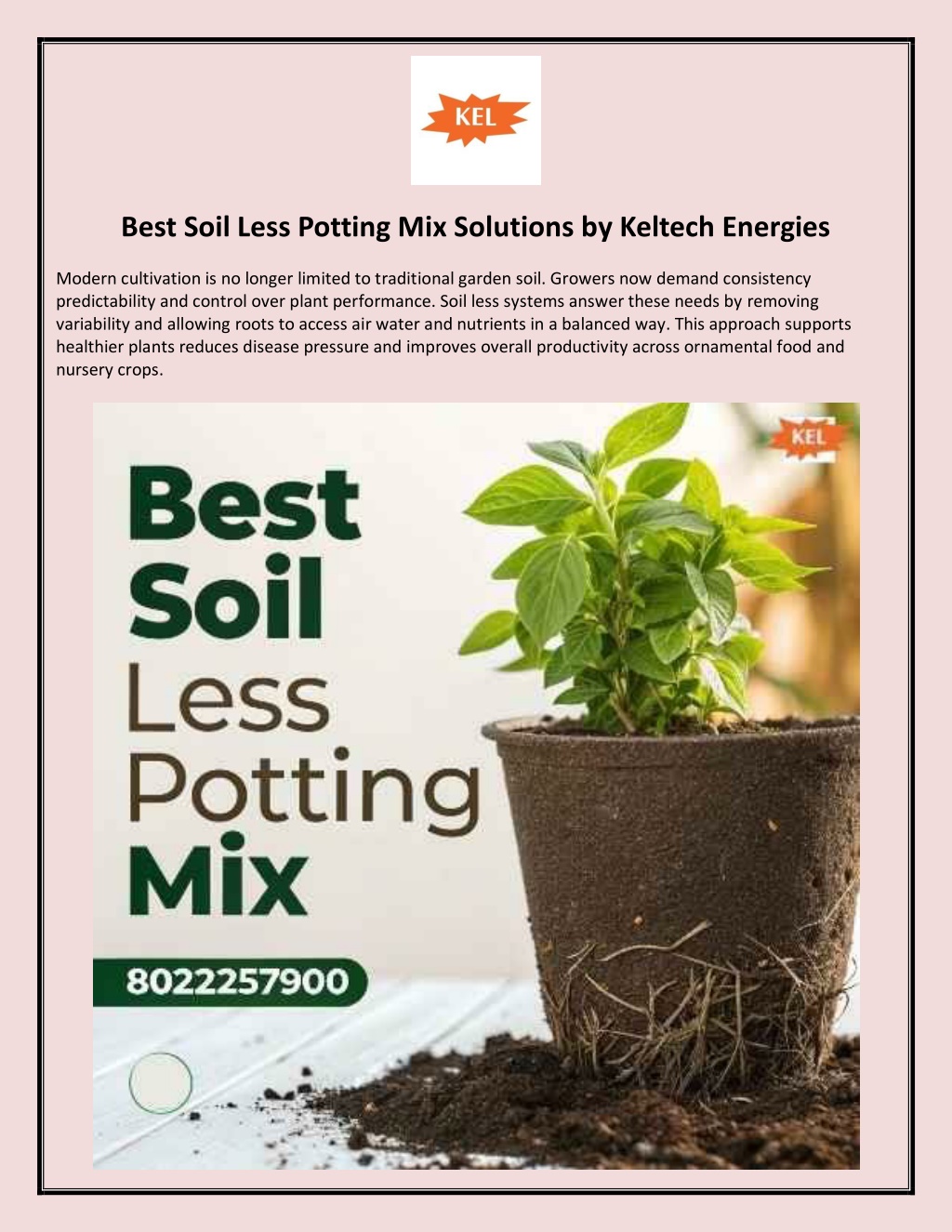 PPT - Best Soil Less Potting Mix Solutions by Keltech Energies ...