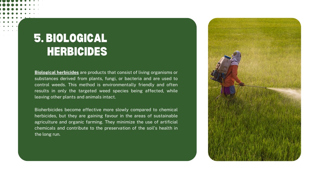PPT - A Guide to Herbicide Types and Their Uses PowerPoint Presentation ...