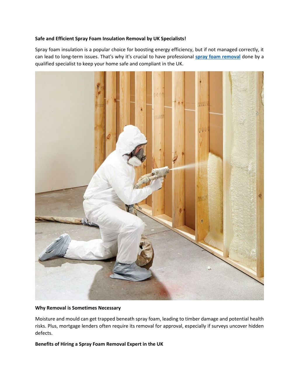 ppt-safe-and-efficient-spray-foam-insulation-removal-by-uk