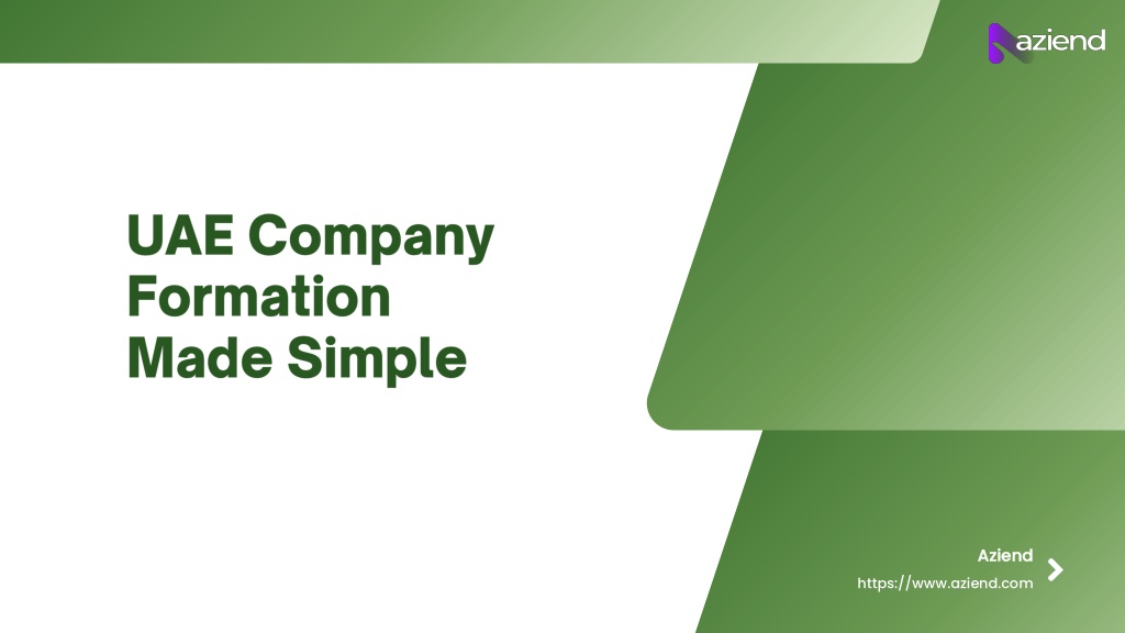 UAE company formation