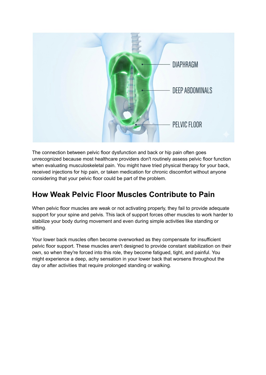 PPT - How Pelvic Floor Dysfunction Affects Back and Hip Pain ...