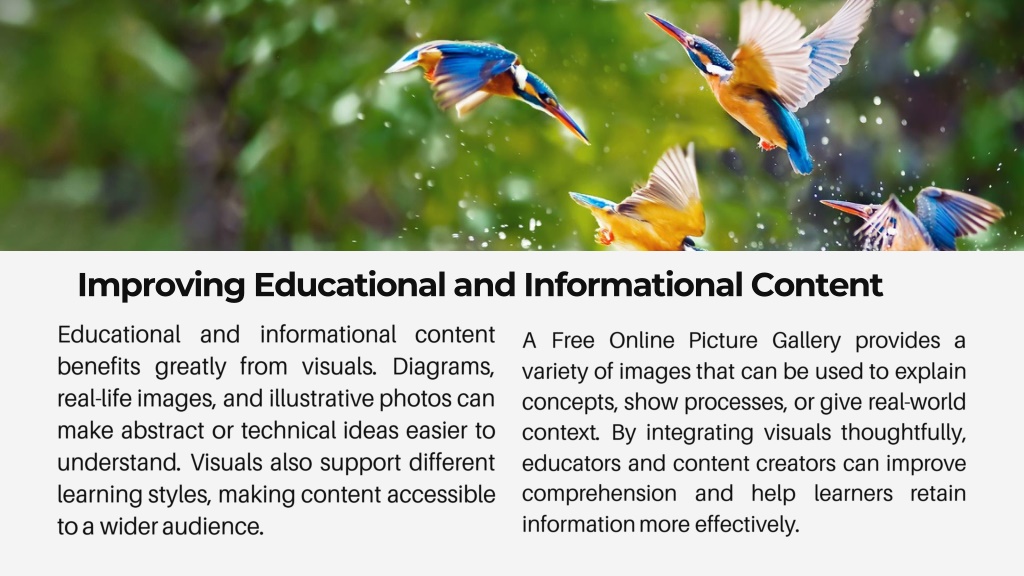 PPT - Understanding a Free Online Picture Gallery for Effective Content ...