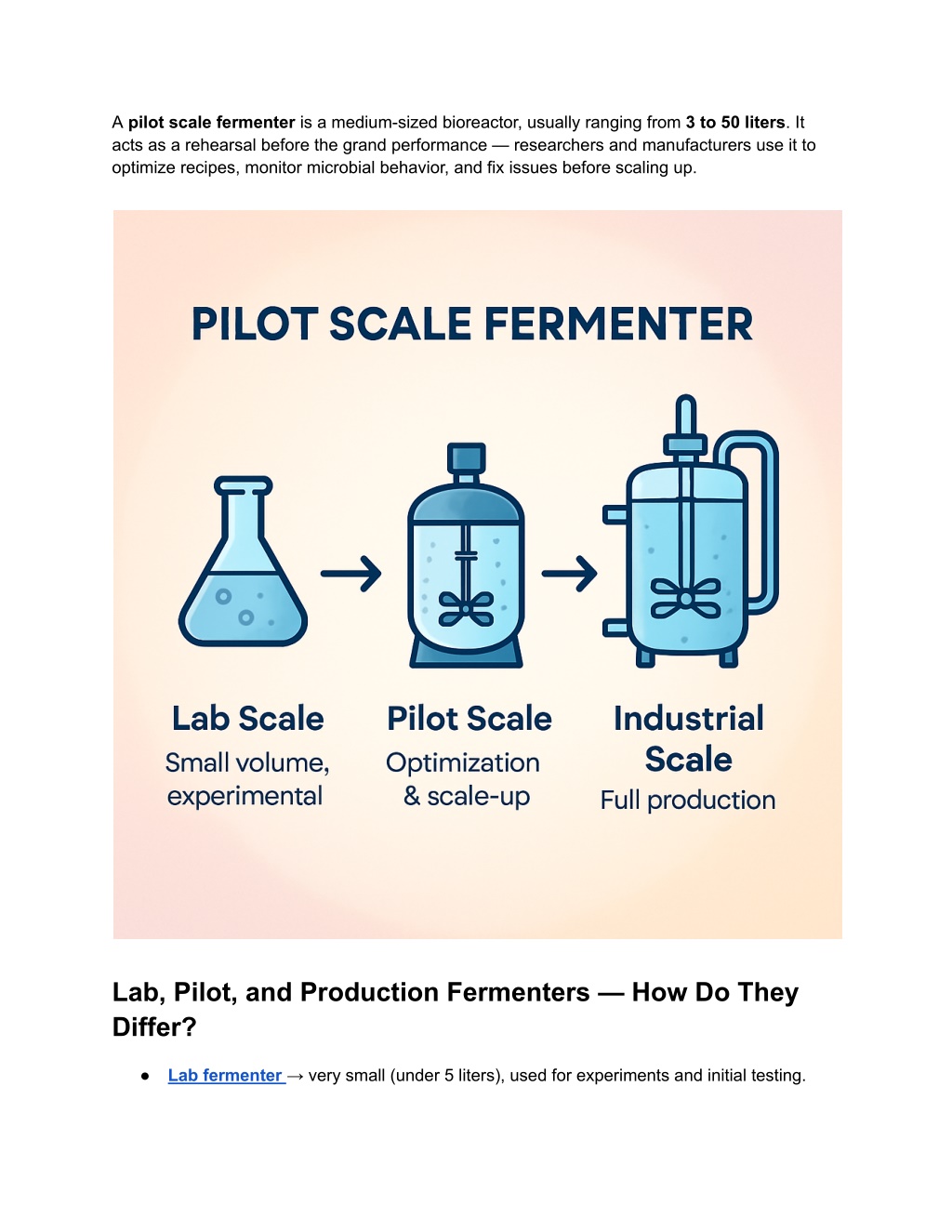 Scale Production PPT - What is Pilot Scale Fermenter_ Setup, Benefits & Industrial Uses ...