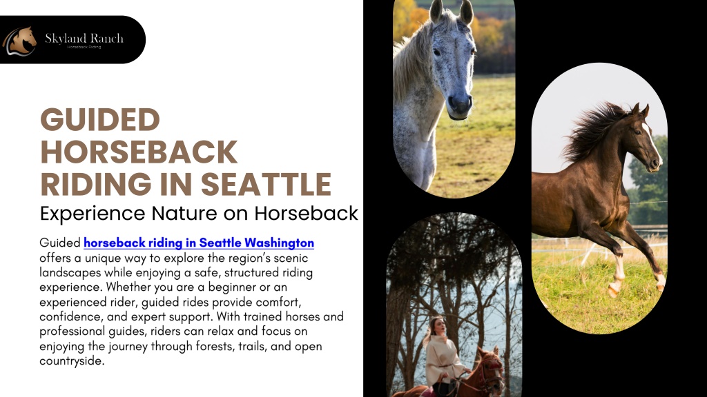 PPT - Guided Horseback Riding in Seattle Experience Nature on Horseback ...