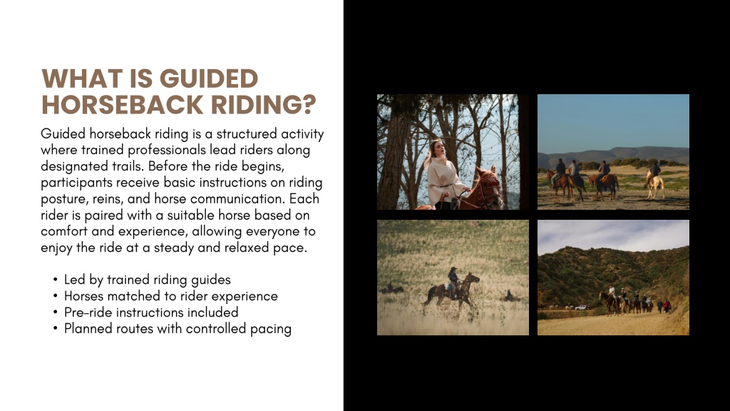 PPT - Guided Horseback Riding in Seattle Experience Nature on Horseback ...