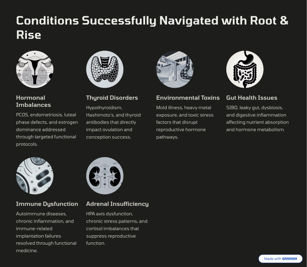 PPT - Root-and-Rise-Restorative-Uncovering-the-Hidden-Causes-of ...