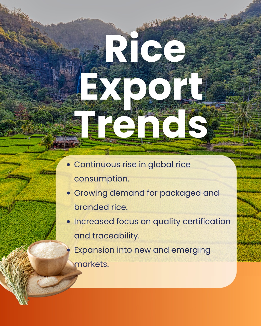 PPT - Rice Export from India Top Markets, Export Trends & Trade Data ...