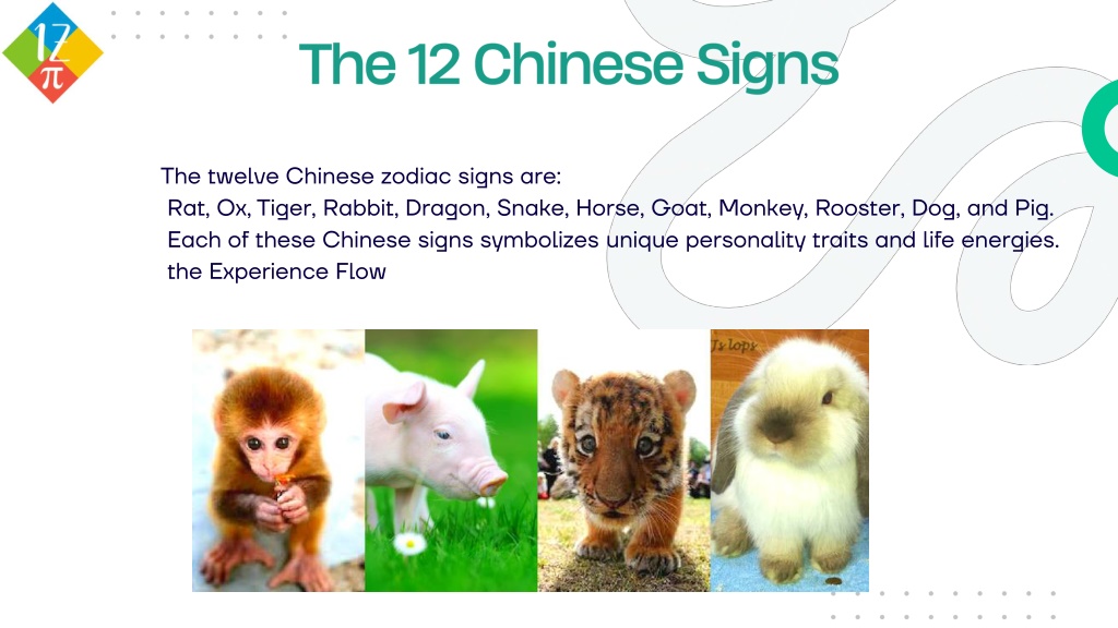 PPT - Chinese Zodiac Signs Understanding the Meaning of Chinese Signs ...