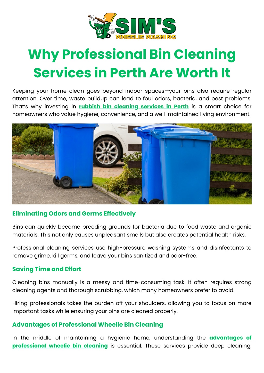 PPT - Why Professional Bin Cleaning Services in Perth Are Worth It ...
